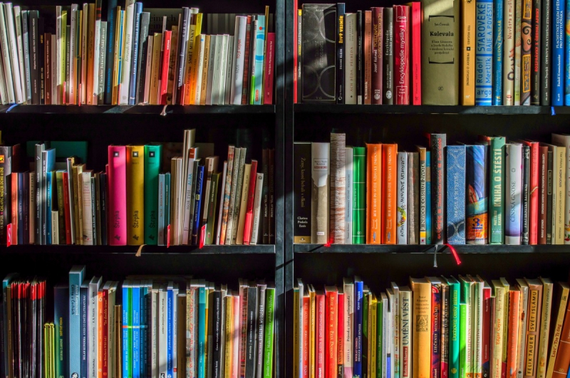 vente-LA ROQUEBRUSSANNE-min_books_bookstore_book_reading_shop_writer_sale_books_read-822866
